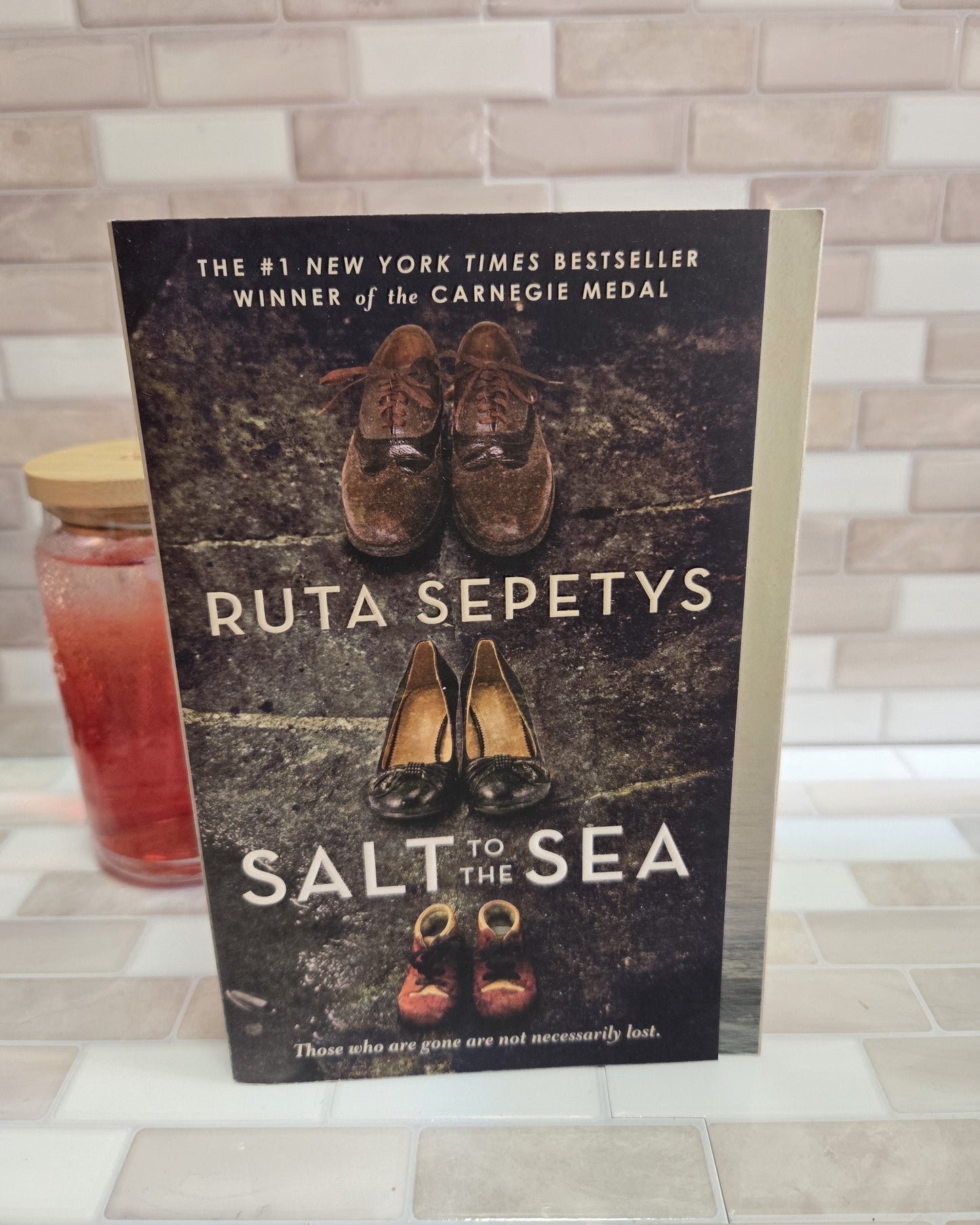 Salt to the Sea