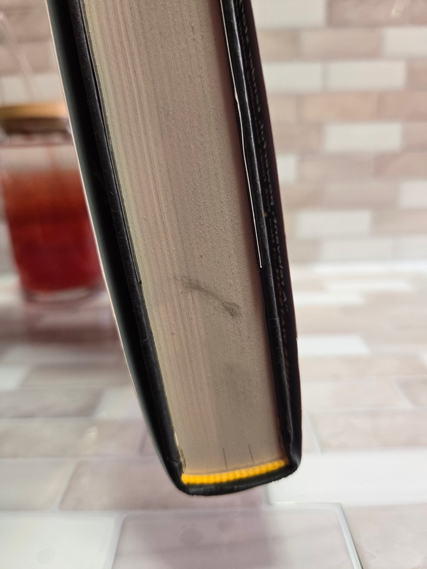This Book Won't Burn
