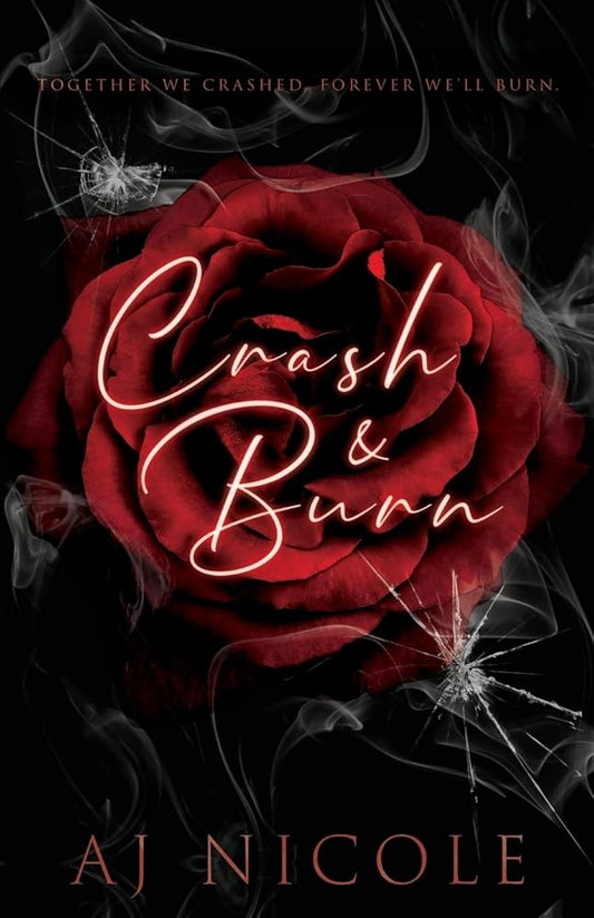 Crash & Burn (Pain & Pleasure) cover image